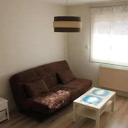 Appartement Charmant Dijon